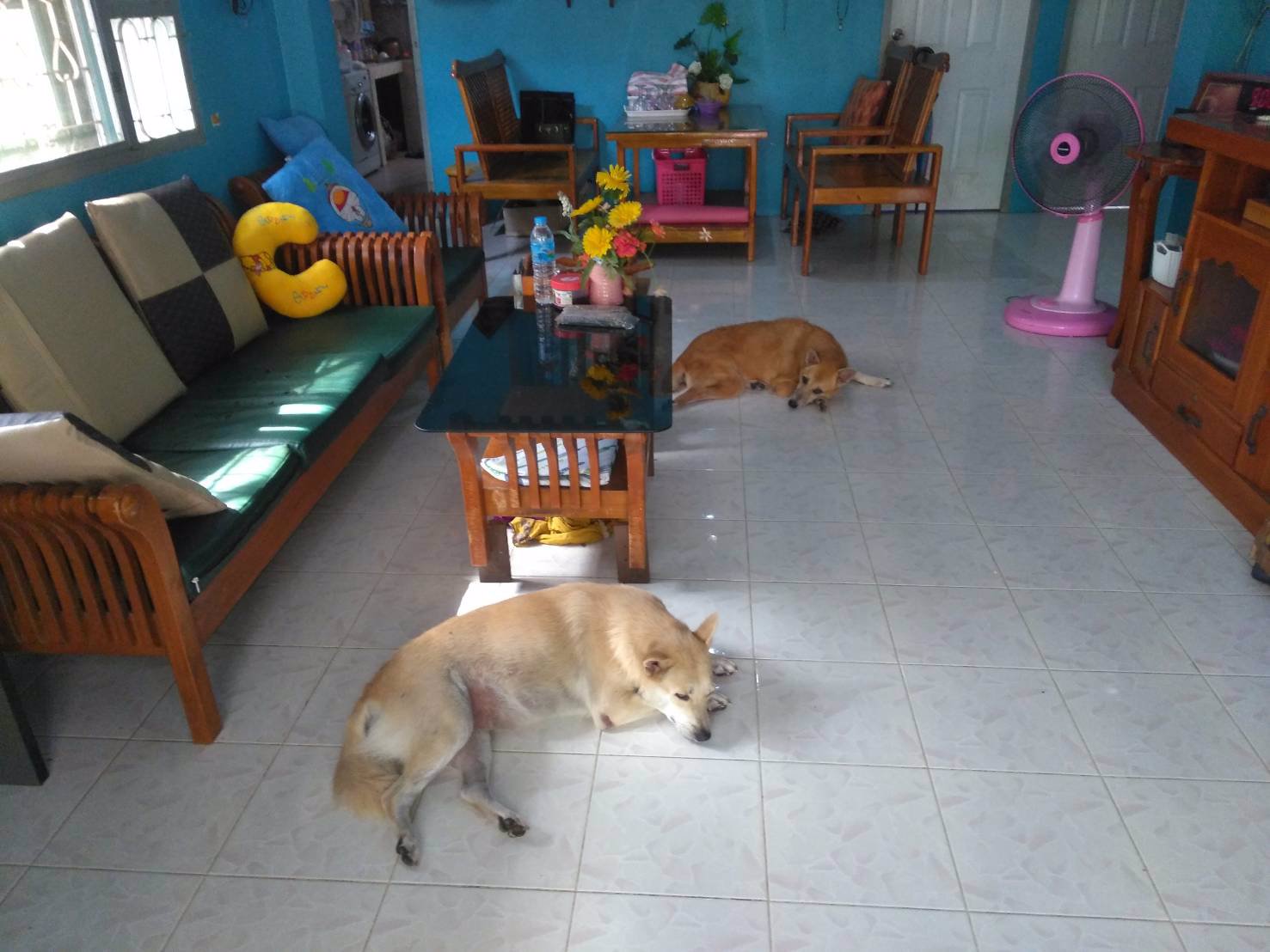 ขายบ้านเดี่ยวเนื้อที่-100-ตรว-ราคา-39-ล้าน-หมู่บ้านสราญธร-คลองสี่ธัญบุรี