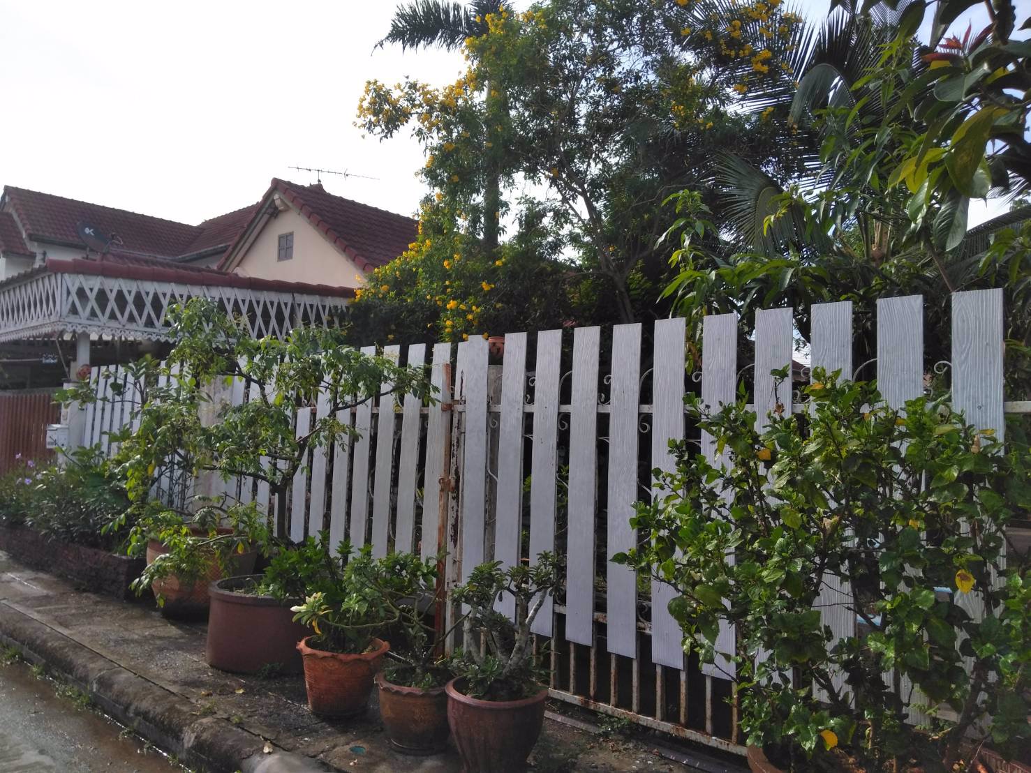 ขายบ้านเดี่ยวเนื้อที่-100-ตรว-ราคา-37-ล้าน-หมู่บ้านสราญธร-คลองสี่ธัญบุรี