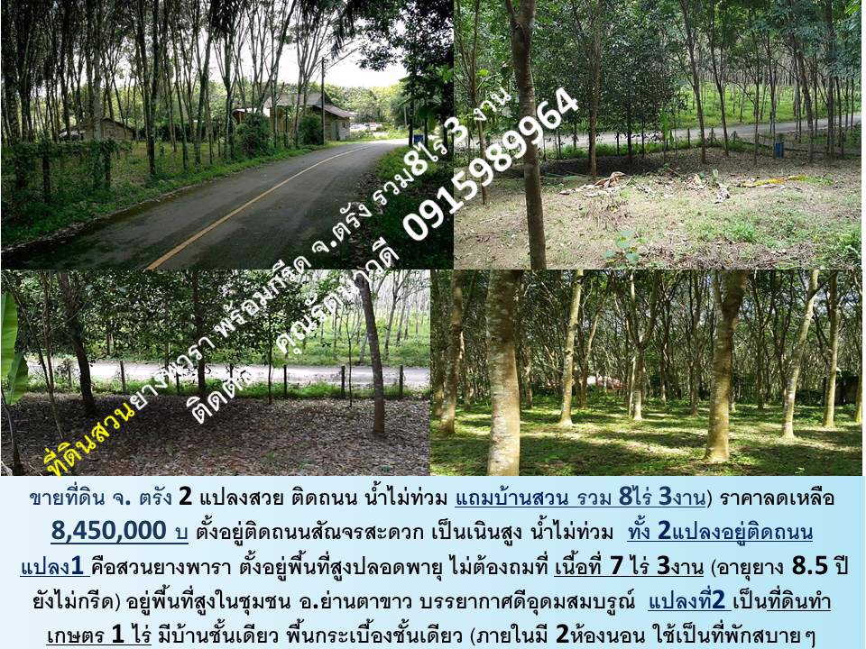 ขายที่ดิน-จตรัง-สวน-พร้อมกรีด-ทำเลดี-ติดถนน-2-แปลง-ตลอดเส้นทางสัณจร-น้ำไม่ท่วม-สันจรสะดวก-แถมบ้าน