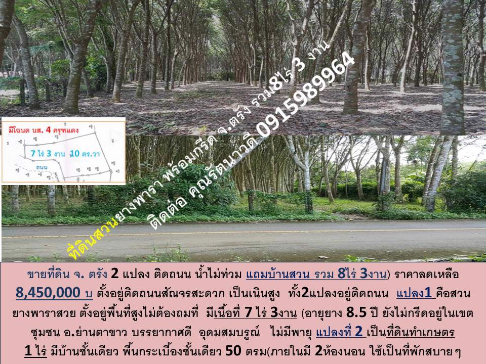 ขายที่ดิน-จตรัง-สวน-พร้อมกรีด-ทำเลดี-ติดถนน-2-แปลง-ตลอดเส้นทางสัณจร-น้ำไม่ท่วม-สันจรสะดวก-แถมบ้าน