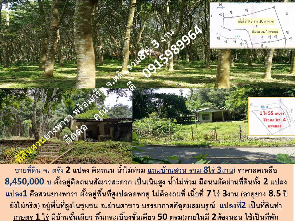 ขายที่ดิน-จตรัง-สวน-พร้อมกรีด-ทำเลดี-ติดถนน-2-แปลง-ตลอดเส้นทางสัณจร-น้ำไม่ท่วม-สันจรสะดวก-แถมบ้าน