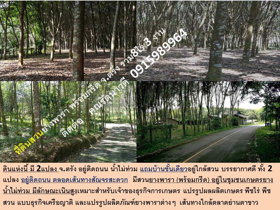 ขายที่ดิน-จตรัง-สวน-พร้อมกรีด-ทำเลดี-ติดถนน-2-แปลง-ตลอดเส้นทางสัณจร-น้ำไม่ท่วม-สันจรสะดวก-แถมบ้าน