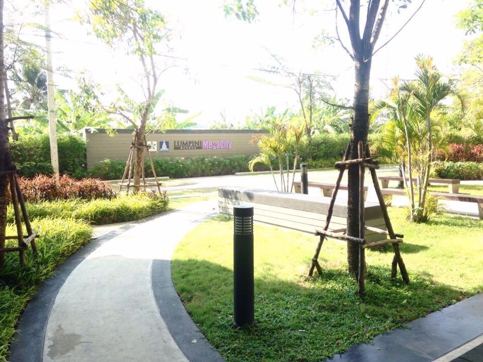 ประกาศ-ขาย-เช่า-คอนโดลุมพินี-เมกะซิตี้-บางนา-ชั้น-24-ตึก-c