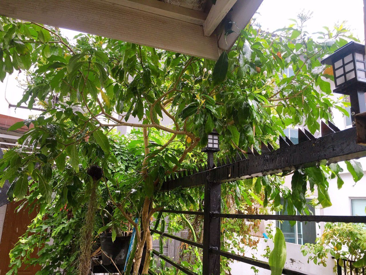 ขายบ้านพฤกษา-106-1-บางปู-ตำหรุ-ต่อเติมแล้วพร้อมอยู่