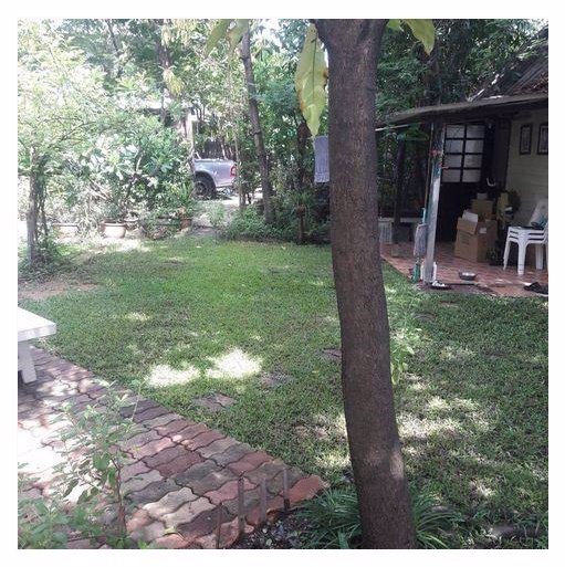 ขายที่ดิน-200-777-ตรวซอยเสนานิคม1ซอย17-ห่างแยกรัชโยธิน-2-กม-ใกล้-bts-สถานีเสนานิคม-58000บาท