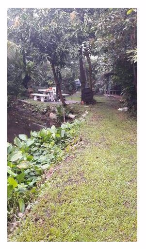 ขายที่ดิน-200-777-ตรวซอยเสนานิคม1ซอย17-ห่างแยกรัชโยธิน-2-กม-ใกล้-bts-สถานีเสนานิคม-58000บาท