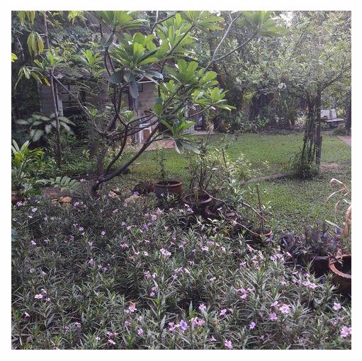 ขายที่ดิน-200-777-ตรวซอยเสนานิคม1ซอย17-ห่างแยกรัชโยธิน-2-กม-ใกล้-bts-สถานีเสนานิคม-58000บาท