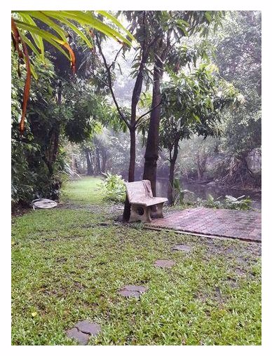 ขายที่ดิน-200-777-ตรวซอยเสนานิคม1ซอย17-ห่างแยกรัชโยธิน-2-กม-ใกล้-bts-สถานีเสนานิคม-58000บาท