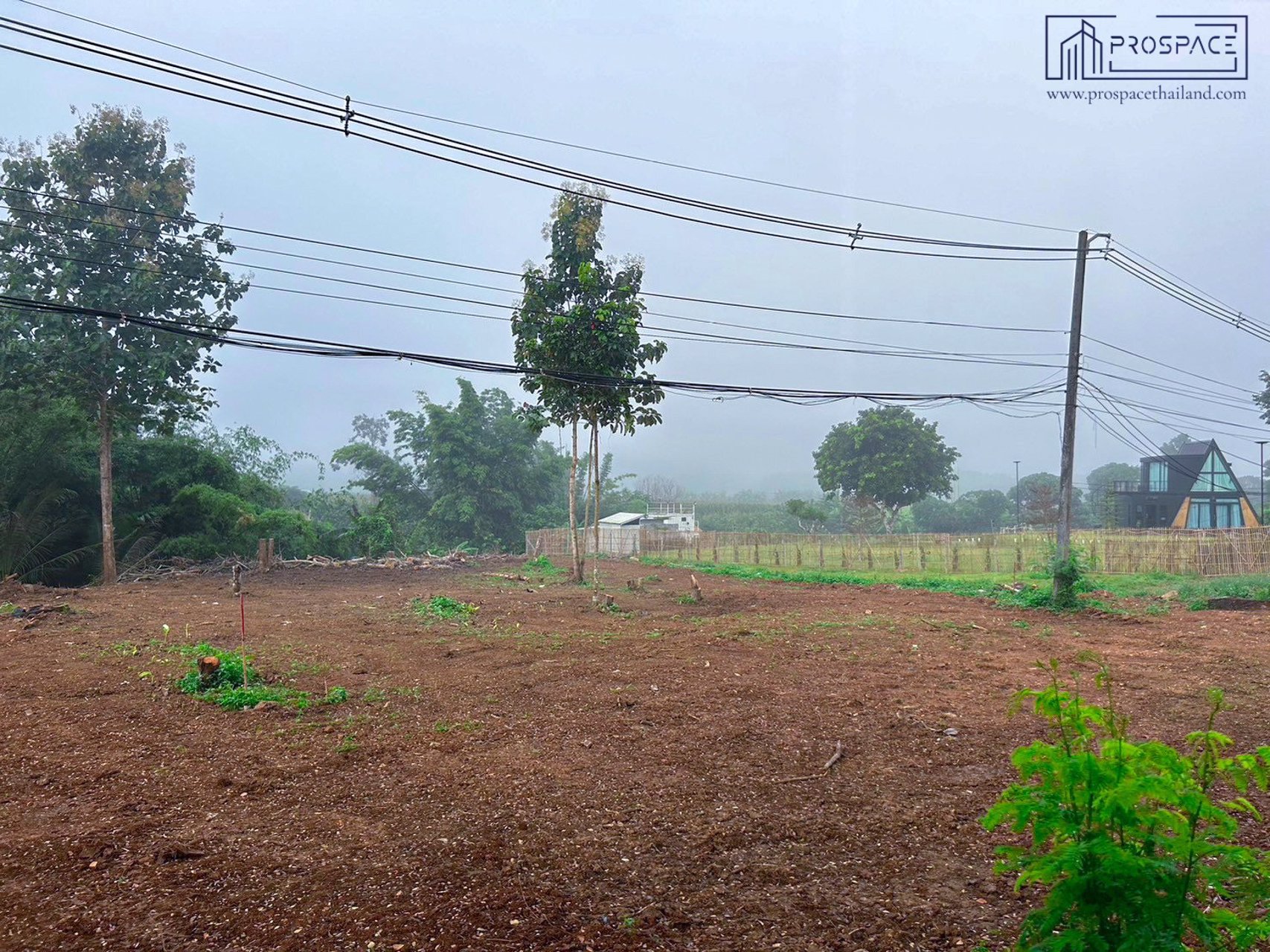ขายที่ดิน-ติดภูเขา-ลำธารเชียงดาว-จเชียงใหม่