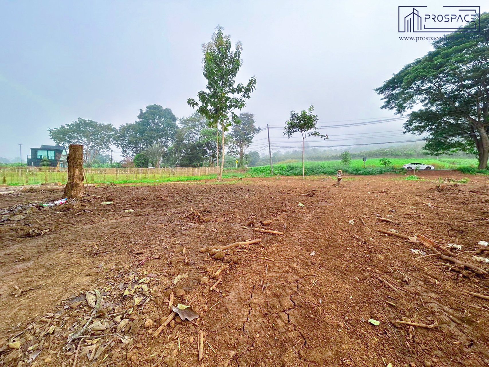 ขายที่ดิน-ติดภูเขา-ลำธารเชียงดาว-จเชียงใหม่