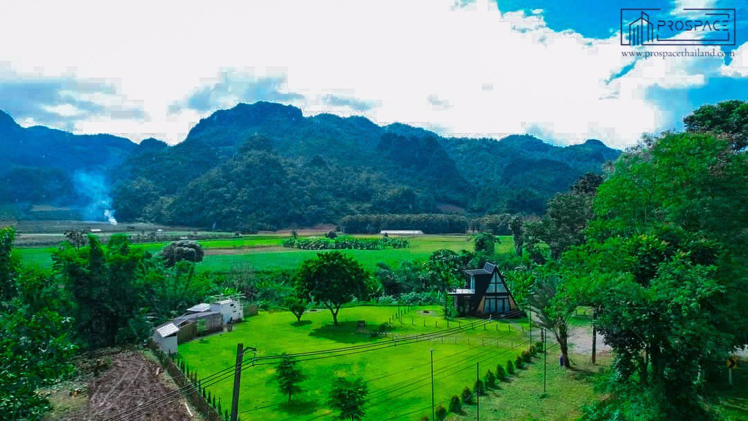 ขายที่ดิน-ติดภูเขา-ลำธารเชียงดาว-จเชียงใหม่