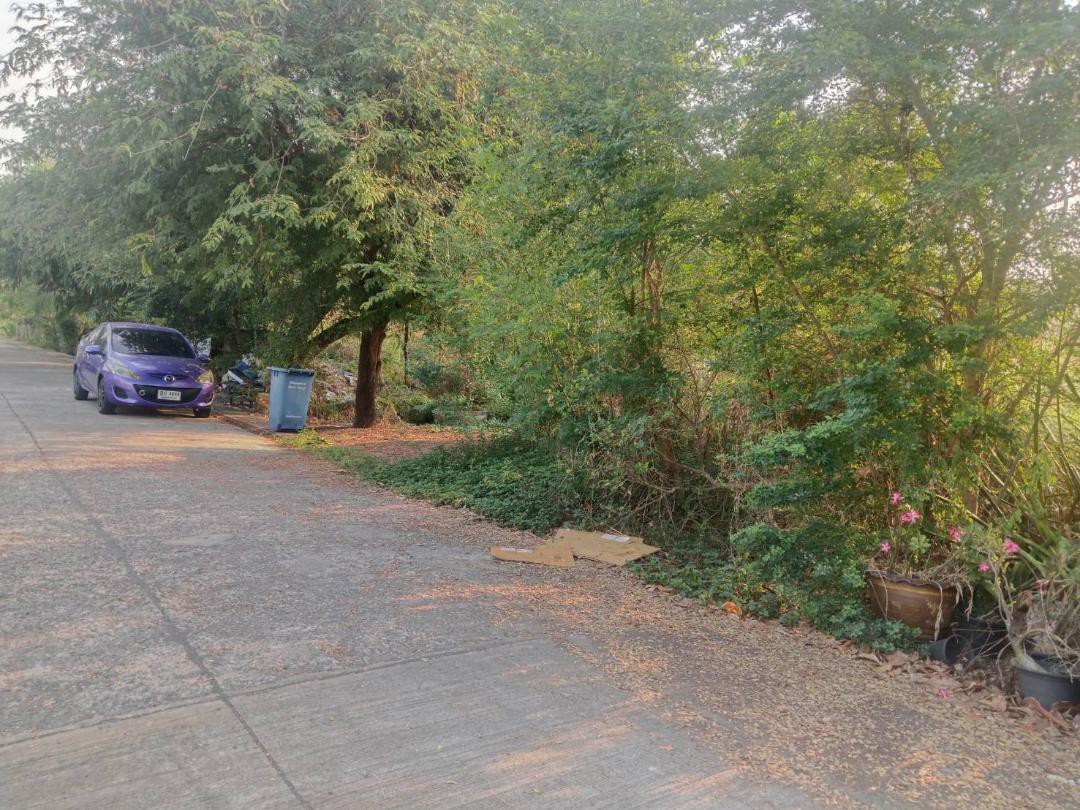 ขายที่ดินแปลงจัดสรรที่ยอดเยี่ยมพหล-สร้างบ้าน-ออฟฟิศ-126-ตารางวาถคอนกรีต-พหลโยธิน-54-1แยก8-4-3