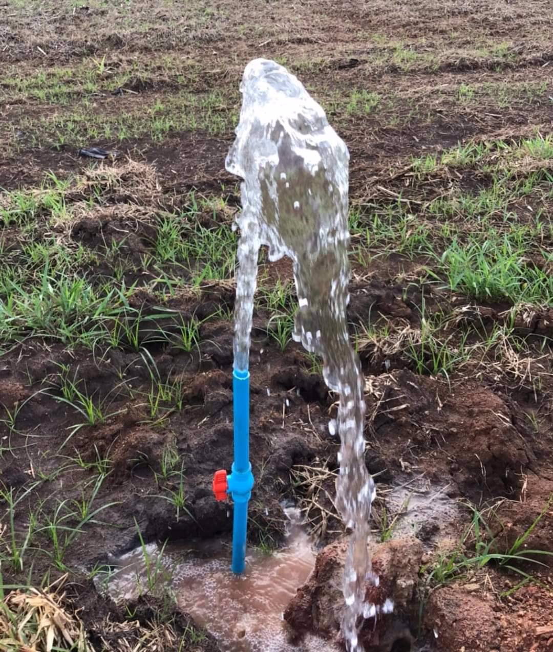 เปิดจอง-ที่ดินแปลงเล็ก-ราคาถูก-โฉนดครุฑแดง-นส4จ