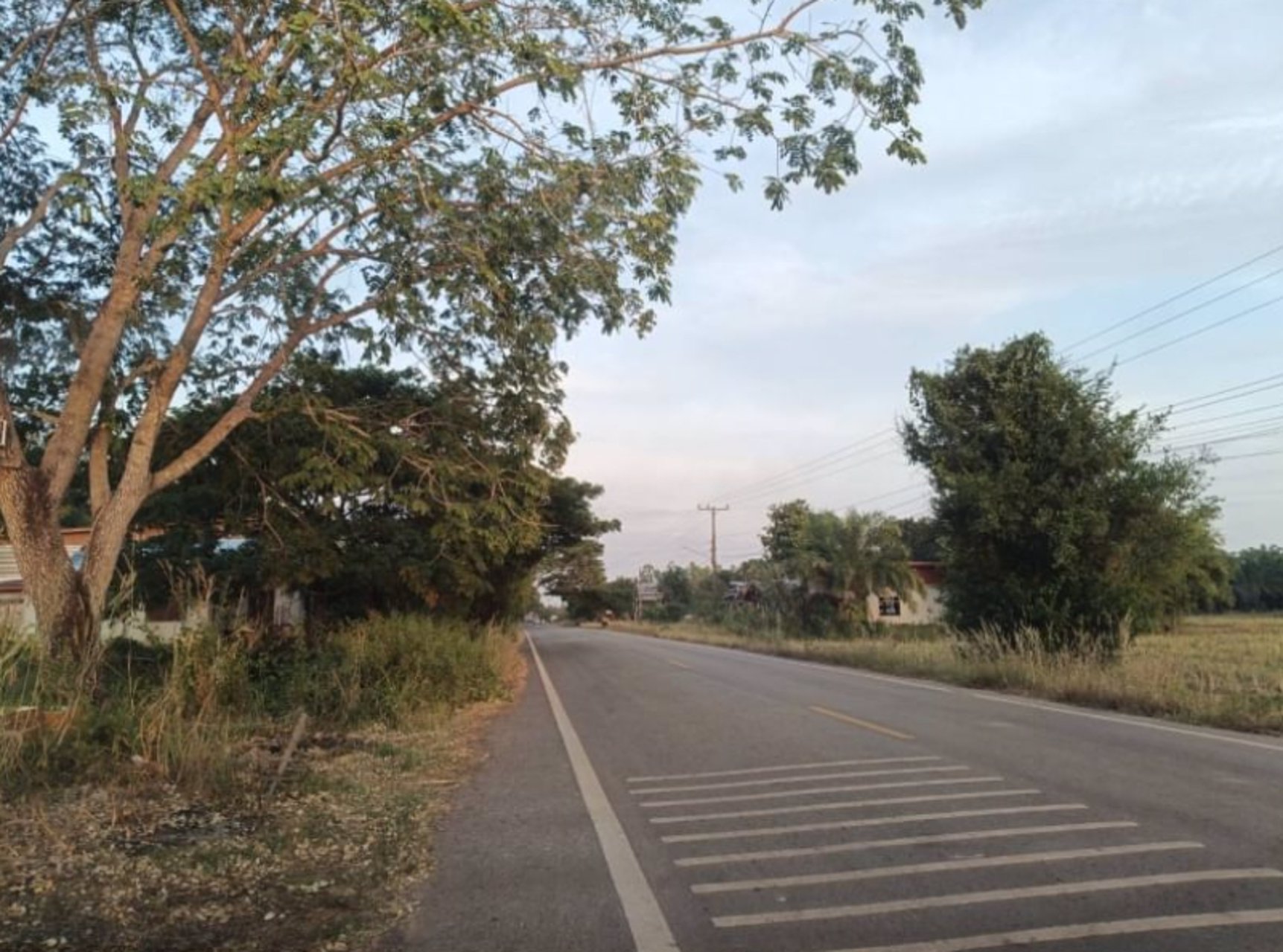 ขายที่ดิน-เนื้อที่-5-ไร่-2-งาน-79-ตรว