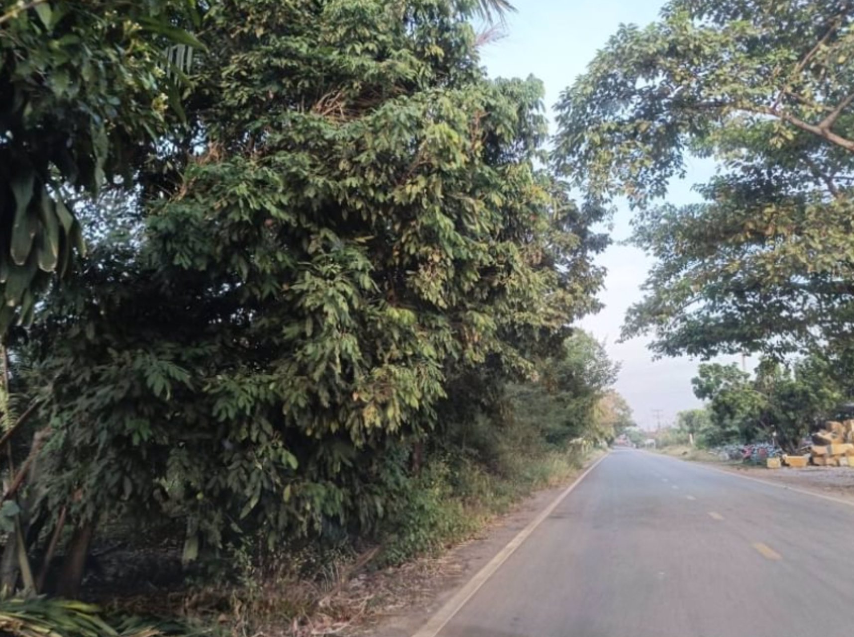 ขายที่ดิน-เนื้อที่-5-ไร่-2-งาน-79-ตรว