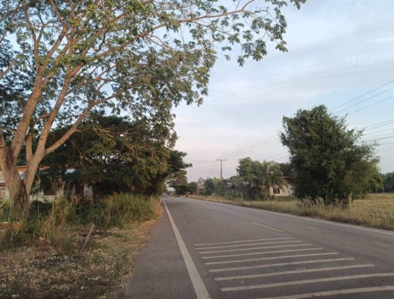 ขายที่นา-เนื้อที่-7ไร่-แบ่งขาย-ที่ดินหน้ากว้างติดทางลาดยาง