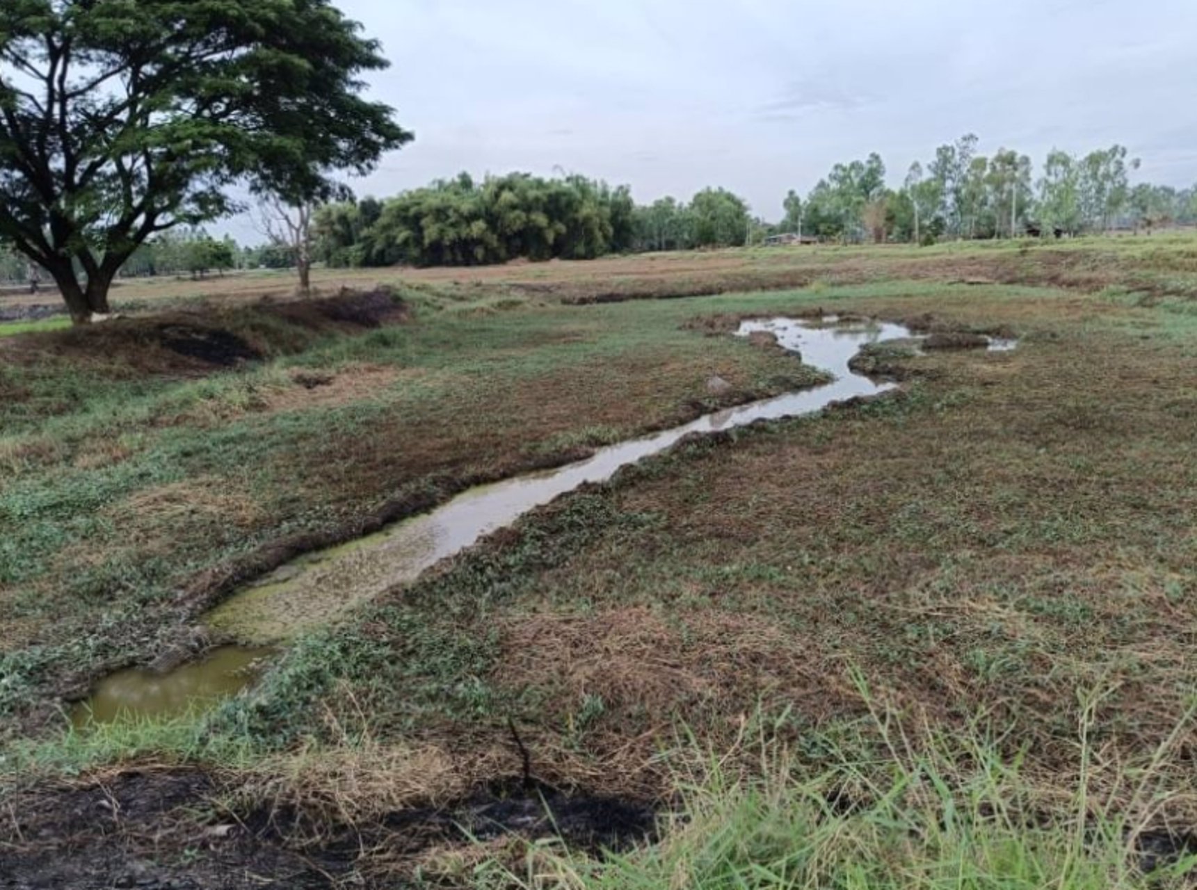 ขายที่นา-เนื้อที่-7ไร่-แบ่งขาย-ที่ดินหน้ากว้างติดทางลาดยาง