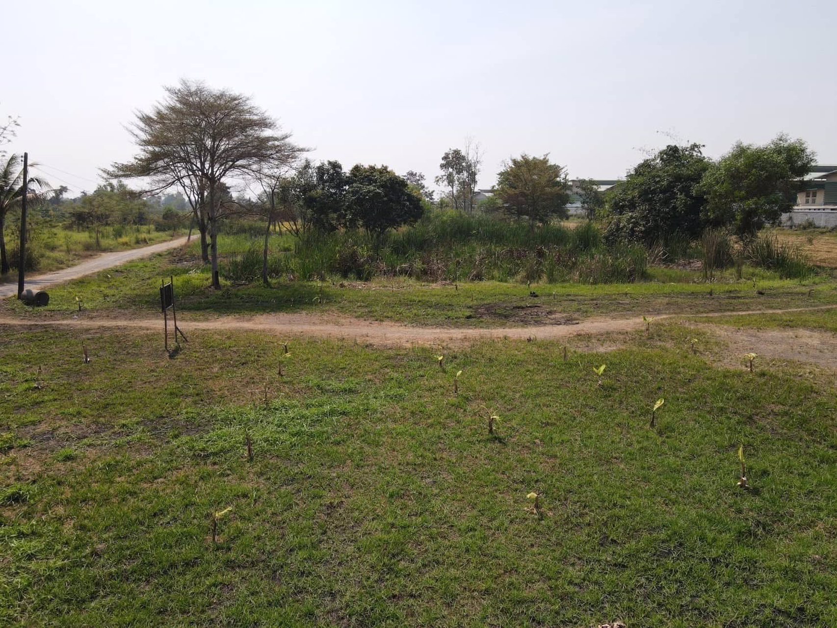 ห้ามพลาดที่สวยทำเลทอง