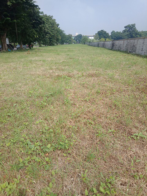 ขายที่ดินทำเลรามคำแหง-ซอย-150