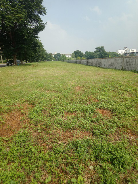 ขายที่ดินทำเลรามคำแหง-ซอย-150