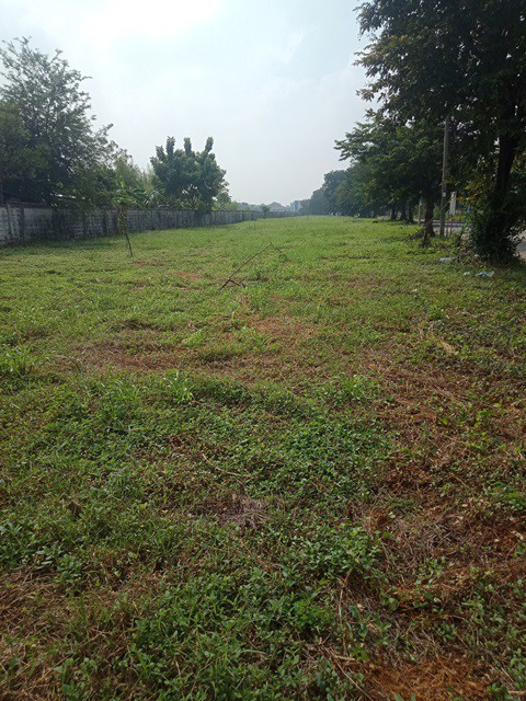 ขายที่ดินทำเลรามคำแหง-ซอย-150