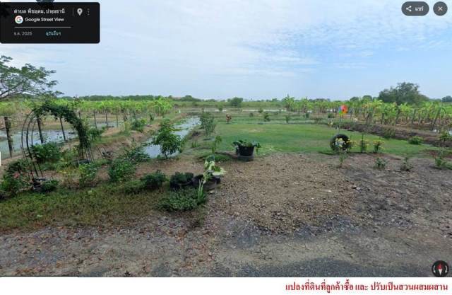 ขายที่ดินติดถนนลำลูกกาคลอง13