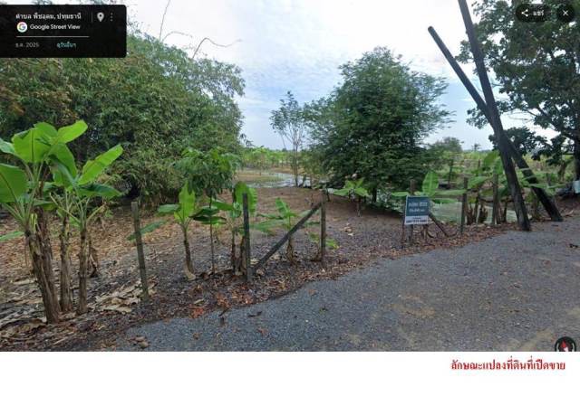 ขายที่ดินติดถนนลำลูกกาคลอง13