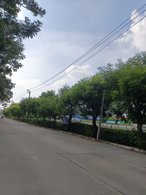 ขายที่ดินติดถนนสุขาภิบาล5-ซอย82