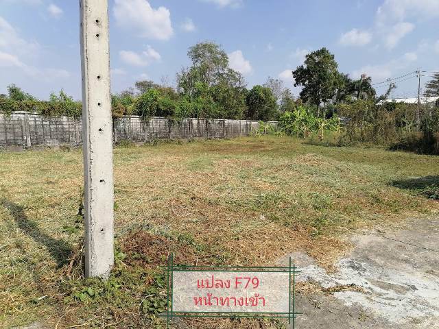 ขายที่ดินในหมู่บ้านเนเบอร์โฮม-สุขาภิบาล5