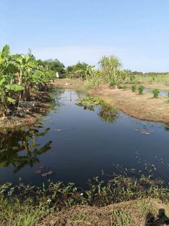 ขายที่ดินติดถนนลำลูกกาคลอง13