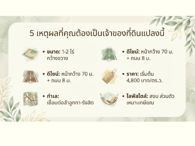 ขายที่ดินติดถนนลำลูกกาคลอง13