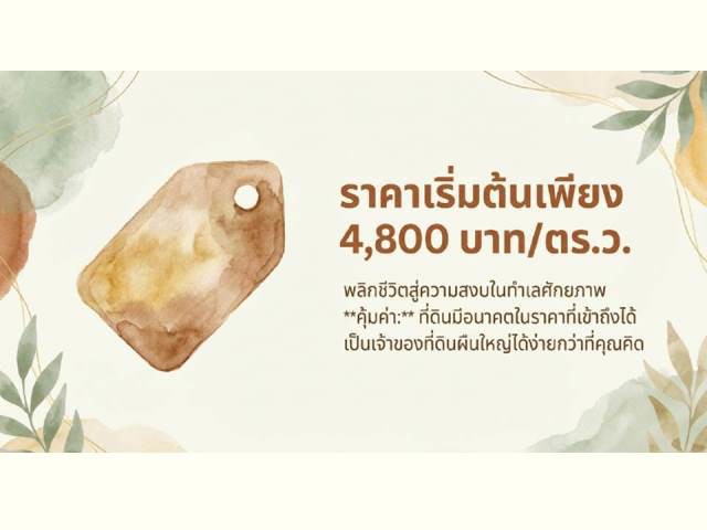 ขายที่ดินติดถนนลำลูกกาคลอง13