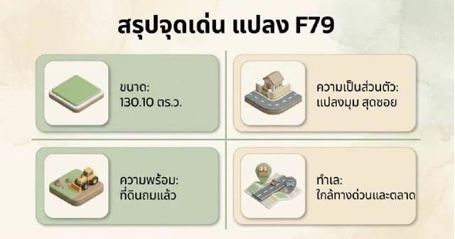 ขายที่ดินในหมู่บ้านเนเบอร์โฮม-สุขาภิบาล5