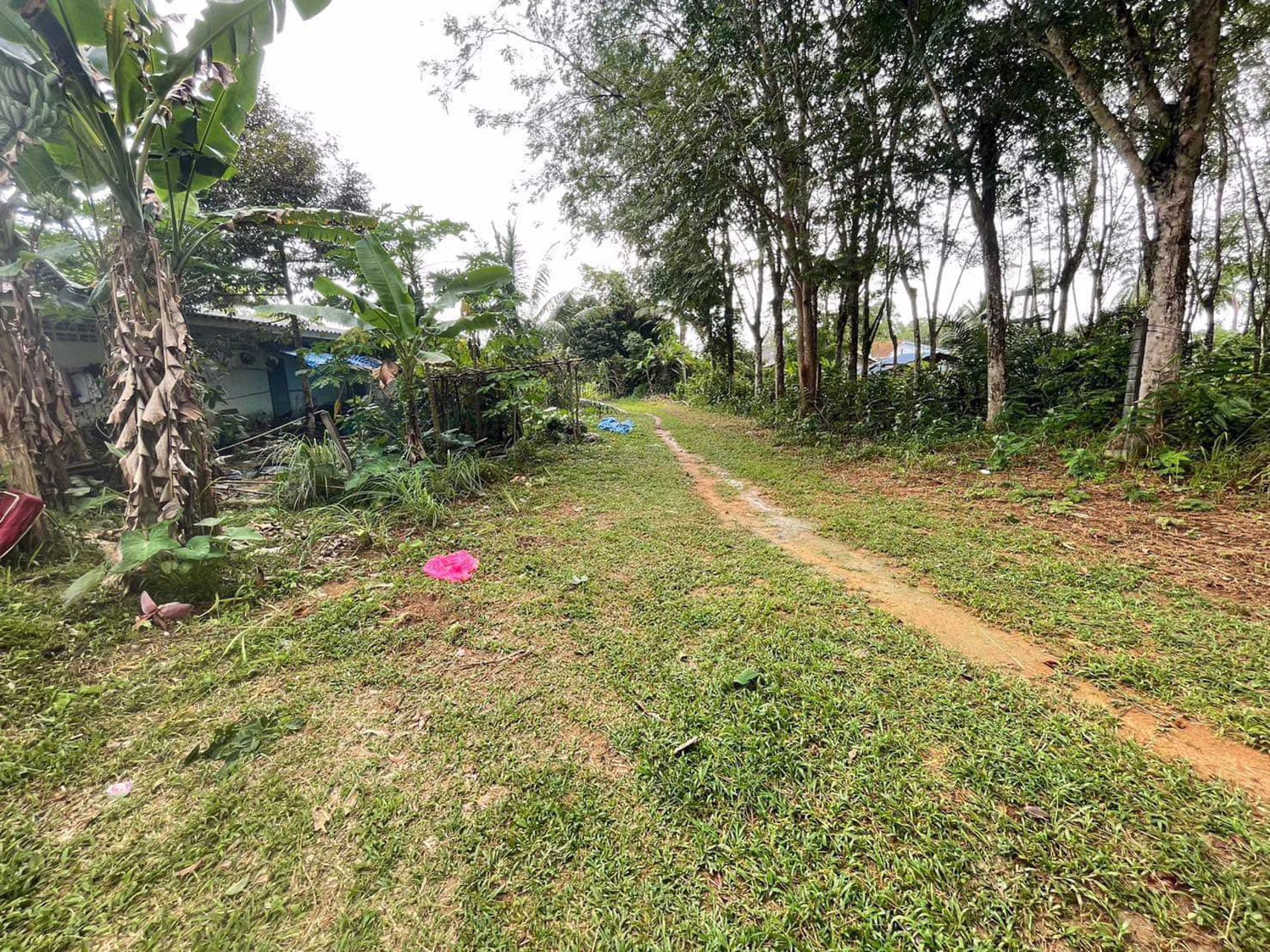 ขายที่ดิน-ติดถนนใหญ่เพชรเกษม