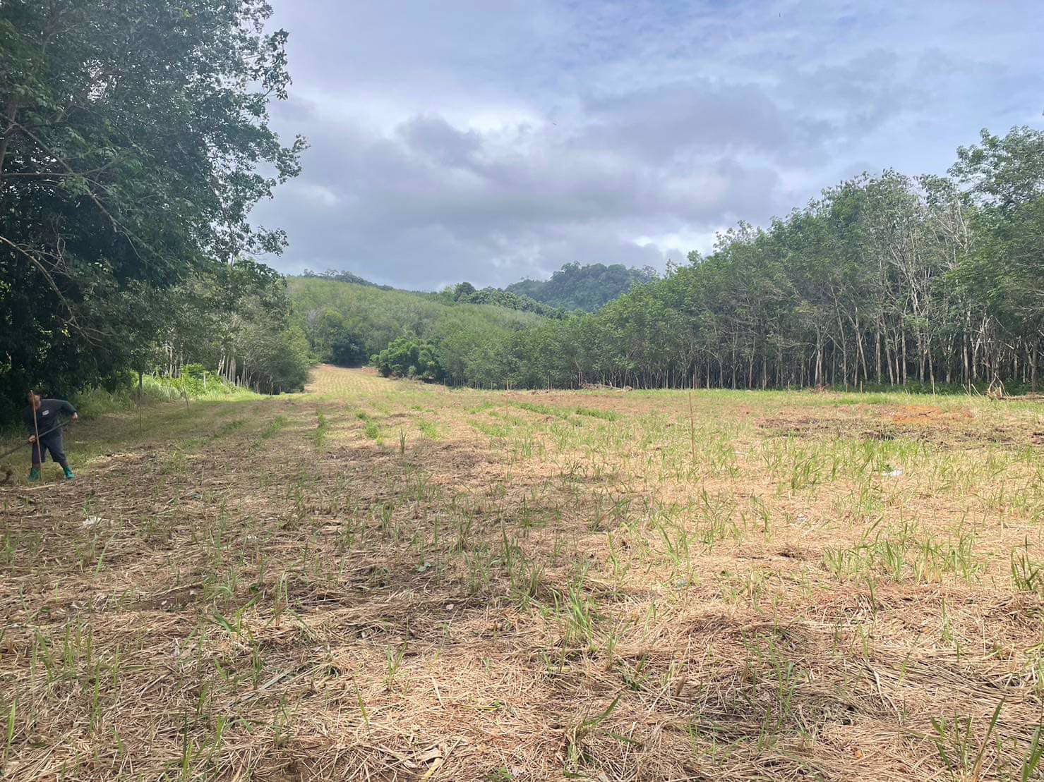 ขายที่ดิน-ติดถนนใหญ่เพชรเกษม