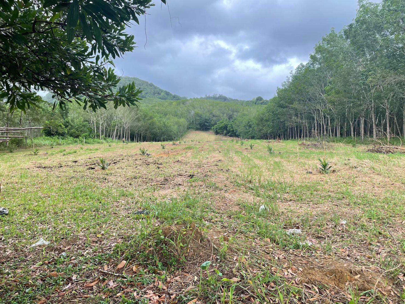 ขายที่ดิน-ติดถนนใหญ่เพชรเกษม