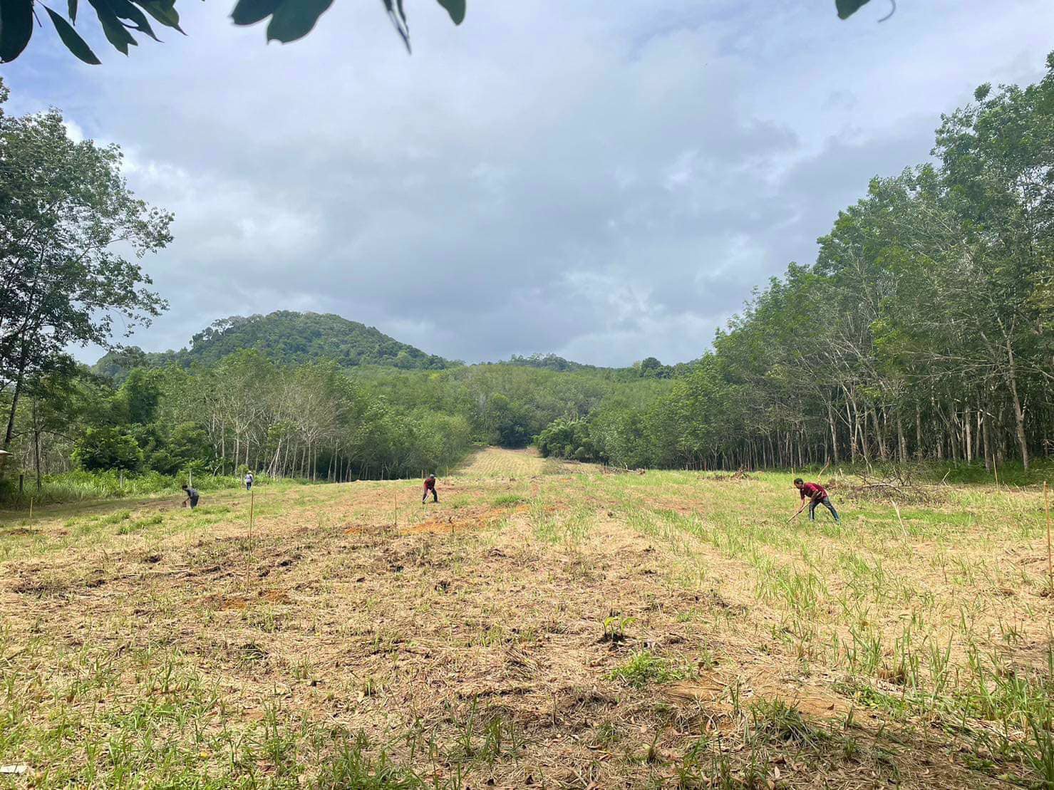 ขายที่ดิน-ติดถนนใหญ่เพชรเกษม
