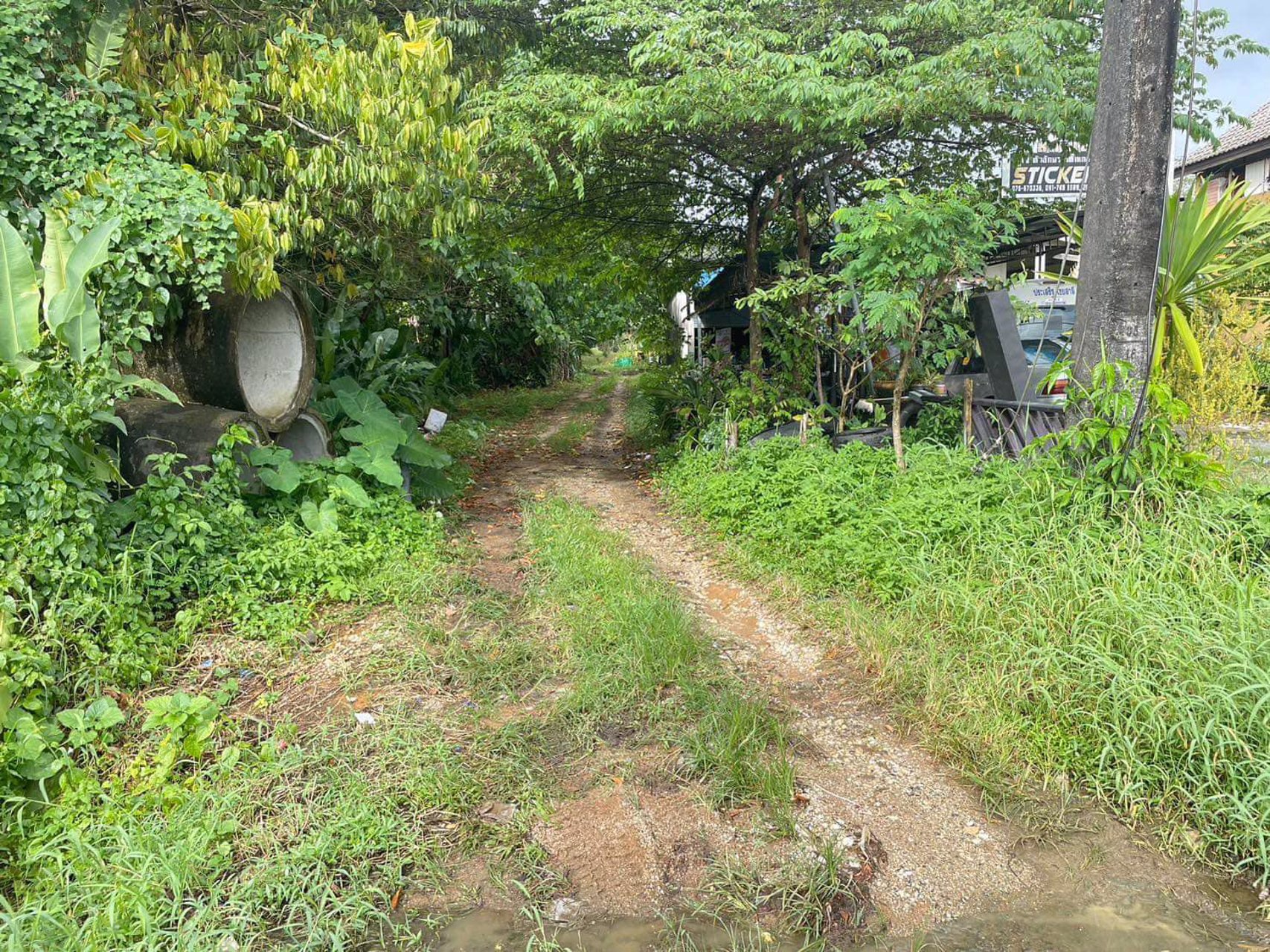 ขายที่ดิน-ติดถนนใหญ่เพชรเกษม