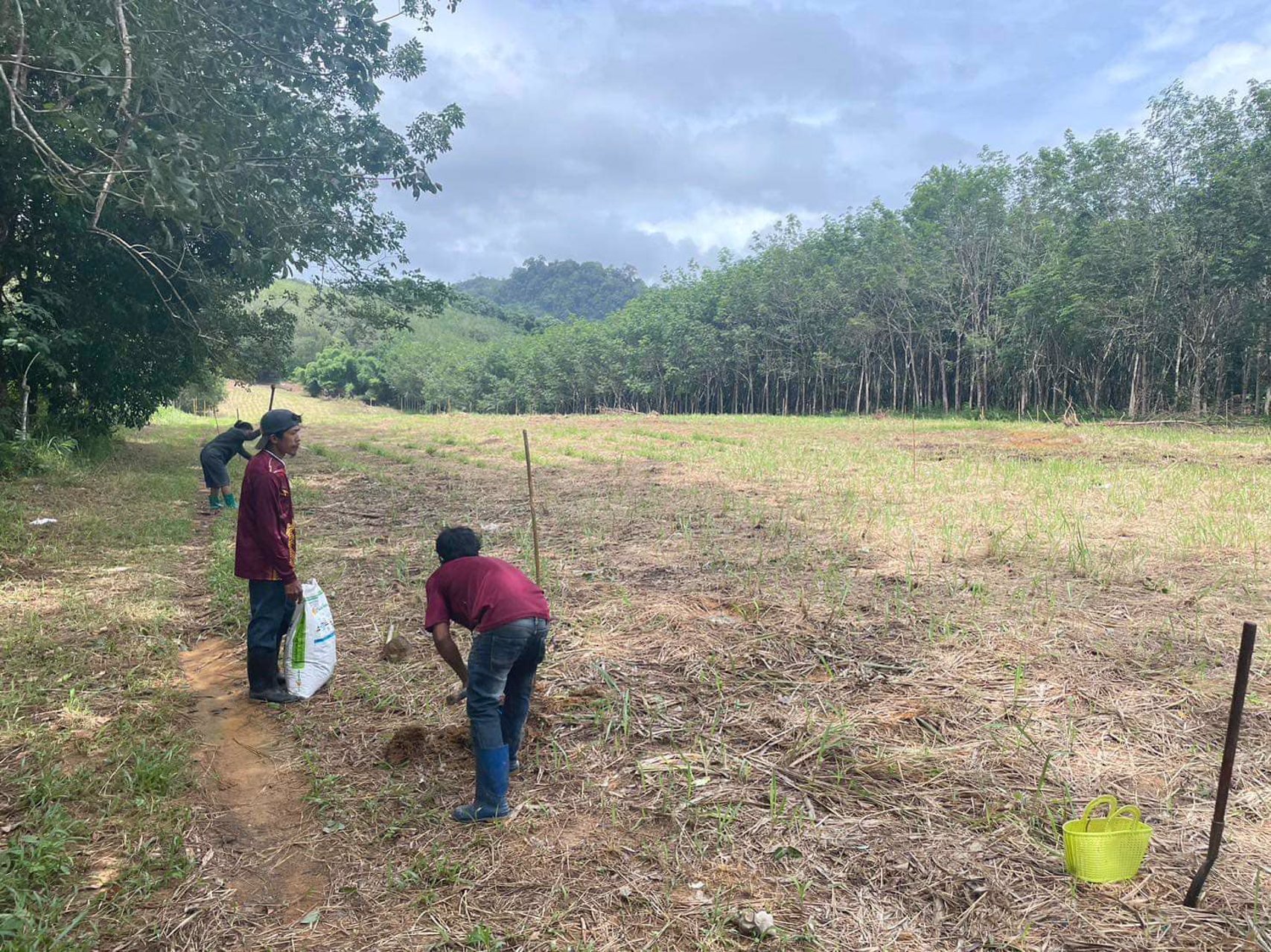 ขายที่ดิน-ติดถนนใหญ่เพชรเกษม