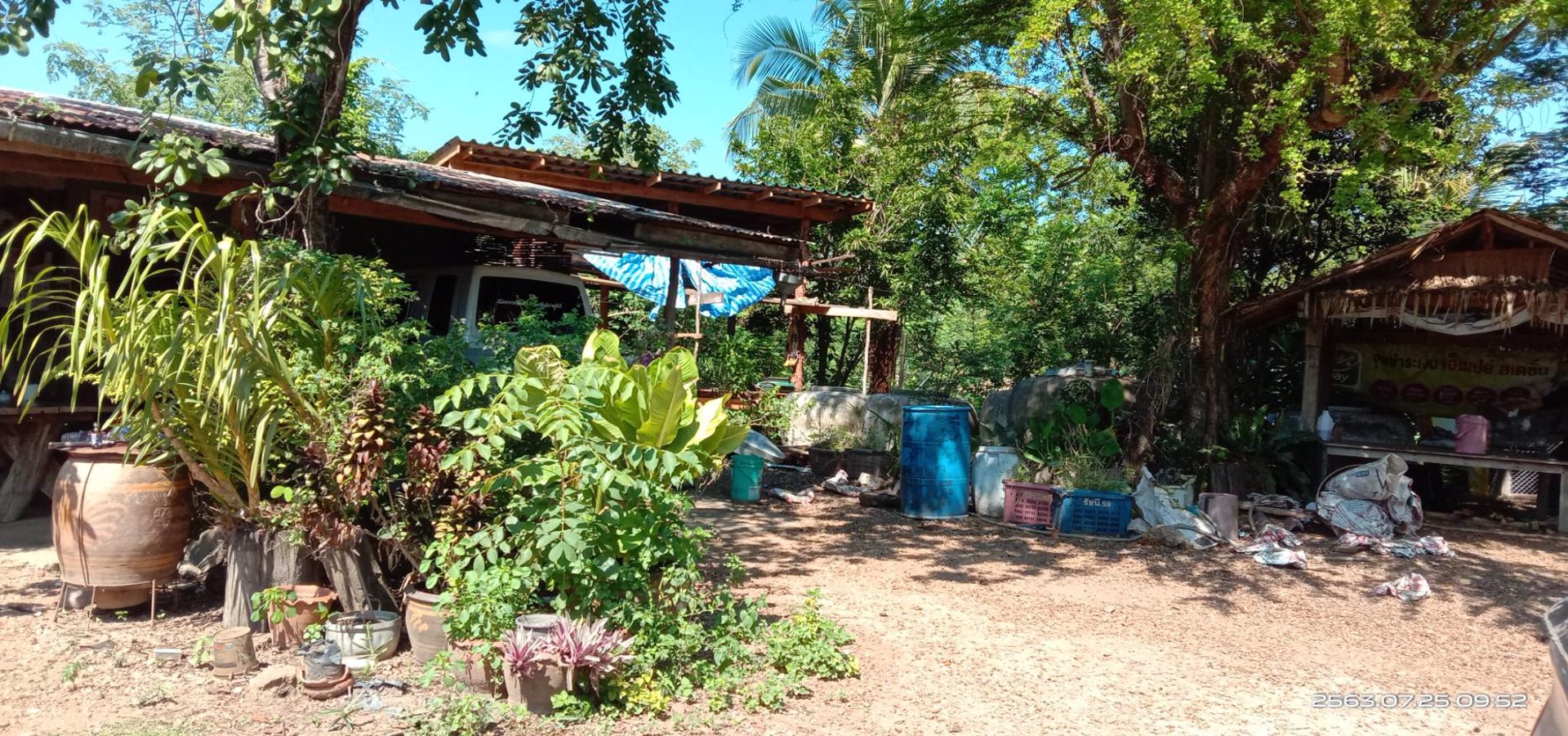 ขายสวน-พร้อมเก็บผลผลิต-19-ไร่-โฉนด-ฟรี-5ไร่-ติดเขา-ฟรีบ้านพัก