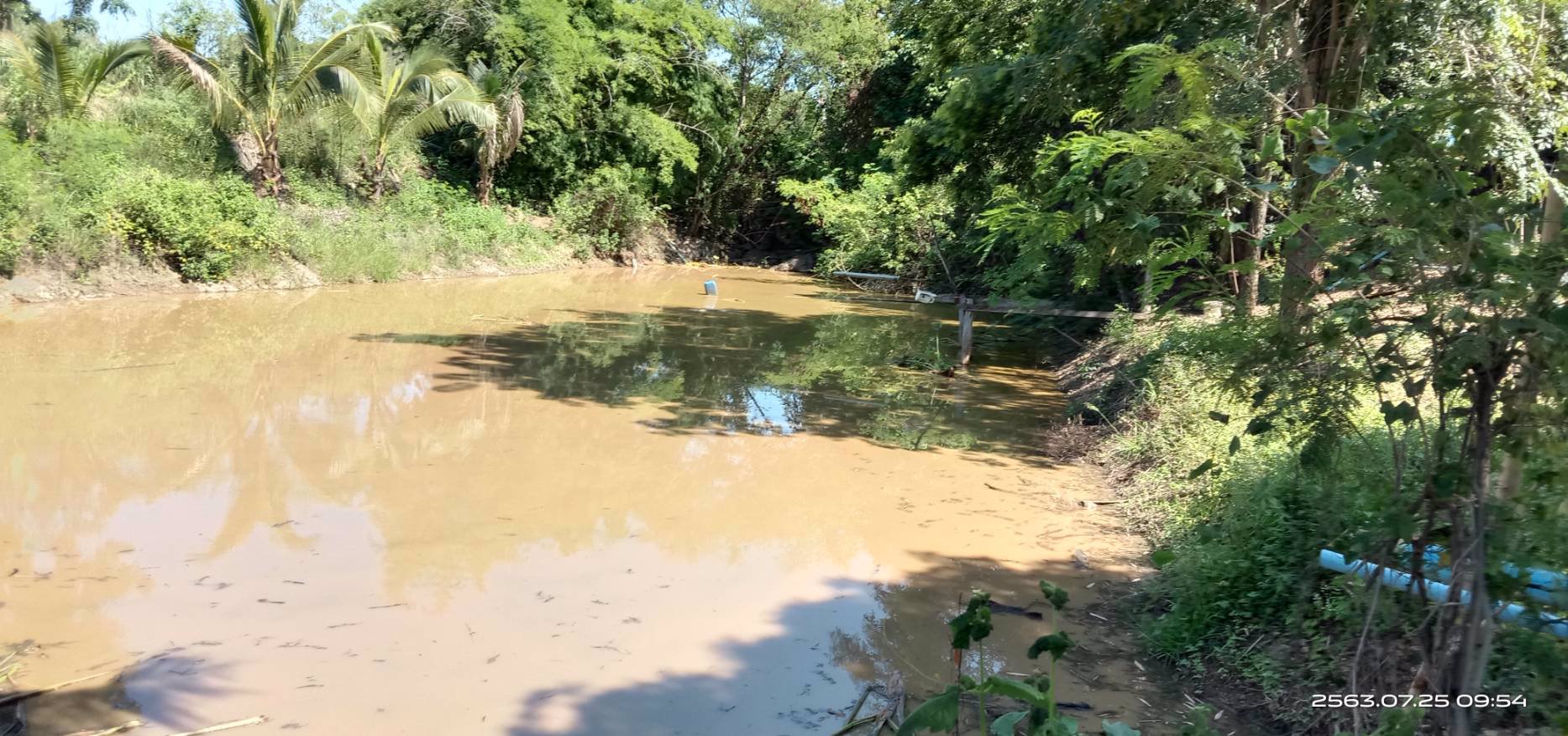 ขายสวน-พร้อมเก็บผลผลิต-19-ไร่-โฉนด-ฟรี-5ไร่-ติดเขา-ฟรีบ้านพัก