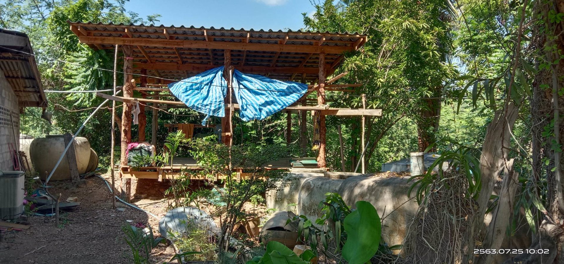 ขายสวน-พร้อมเก็บผลผลิต-19-ไร่-โฉนด-ฟรี-5ไร่-ติดเขา-ฟรีบ้านพัก