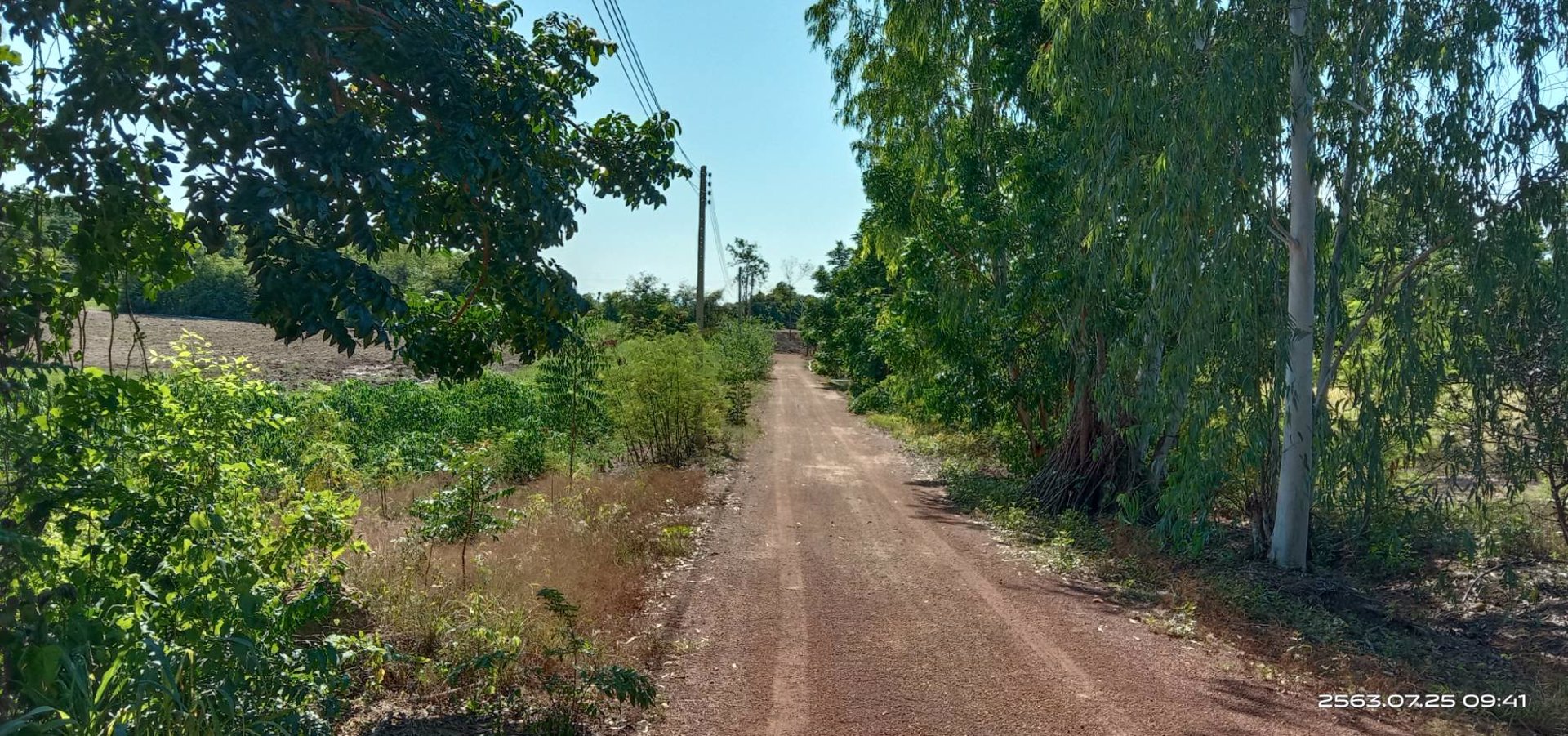 ขายสวน-พร้อมเก็บผลผลิต-19-ไร่-โฉนด-ฟรี-5ไร่-ติดเขา-ฟรีบ้านพัก