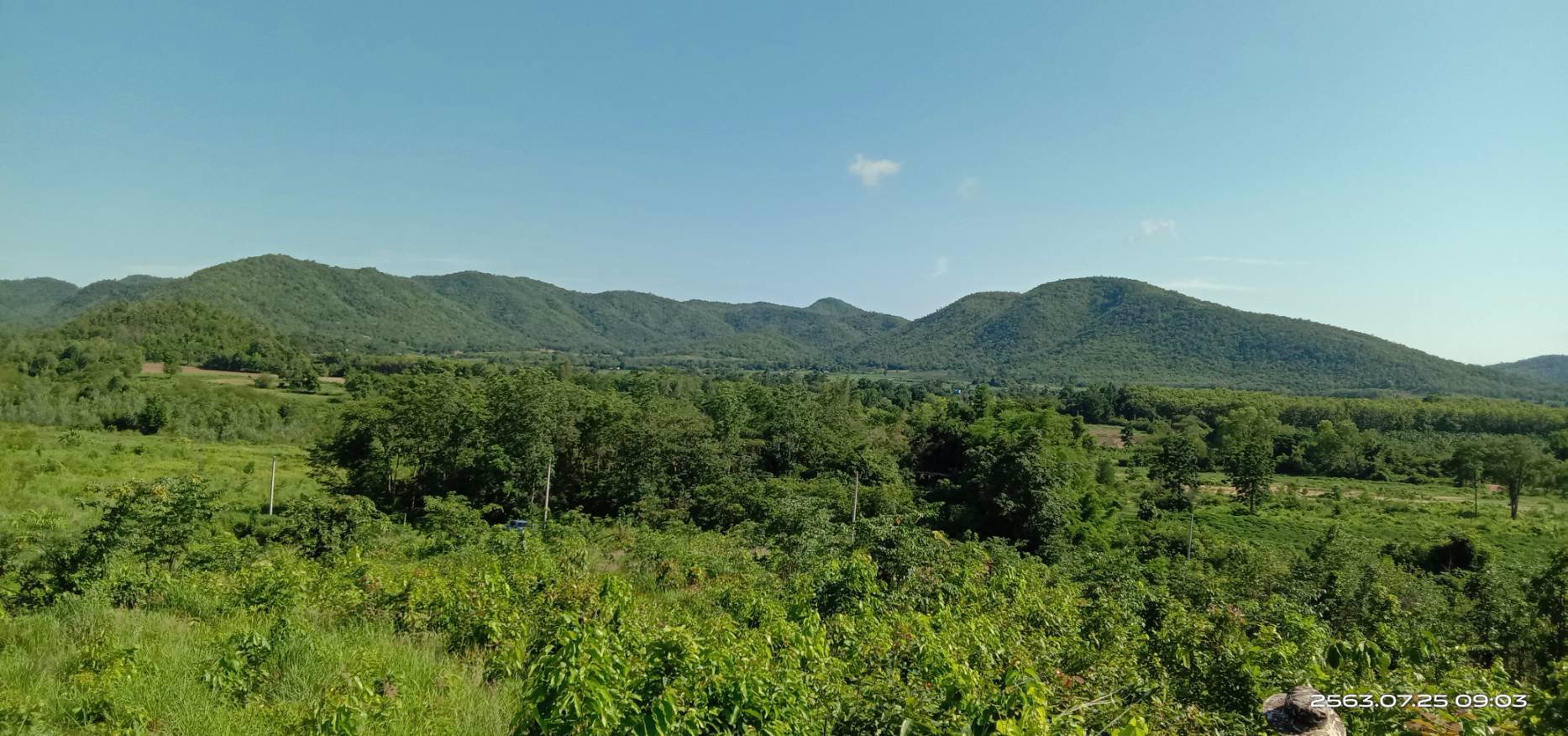 ขายสวน-พร้อมเก็บผลผลิต-19-ไร่-โฉนด-ฟรี-5ไร่-ติดเขา-ฟรีบ้านพัก