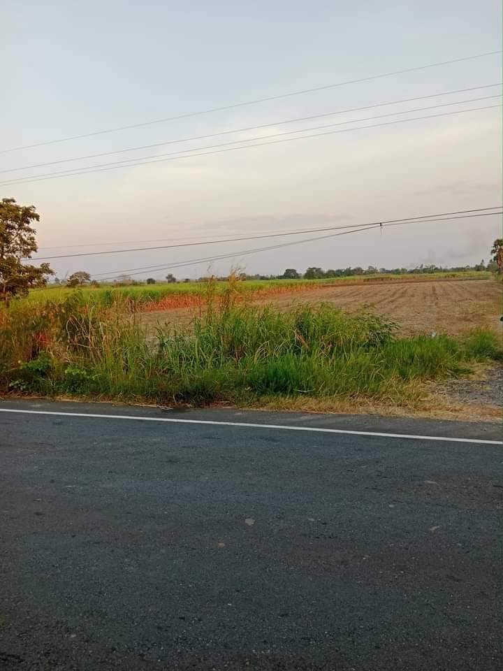 ขายที่ดินในจังหวัดอุทัยธานี-ด่วนๆ-เจ้าของขายเองจ้าาา