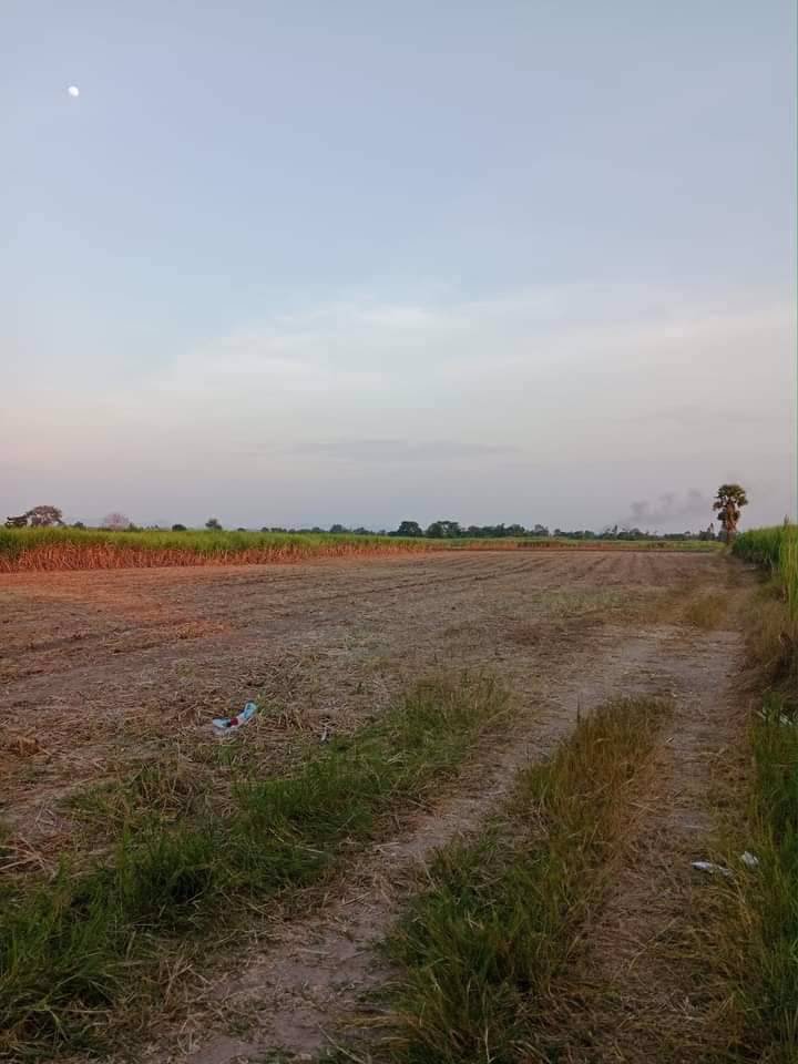 ขายที่ดินในจังหวัดอุทัยธานี-ด่วนๆ-เจ้าของขายเองจ้าาา