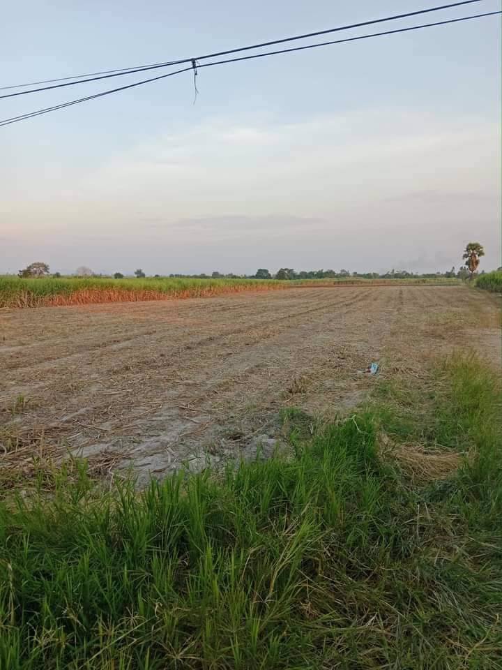 ขายที่ดินในจังหวัดอุทัยธานี-ด่วนๆ-เจ้าของขายเองจ้าาา