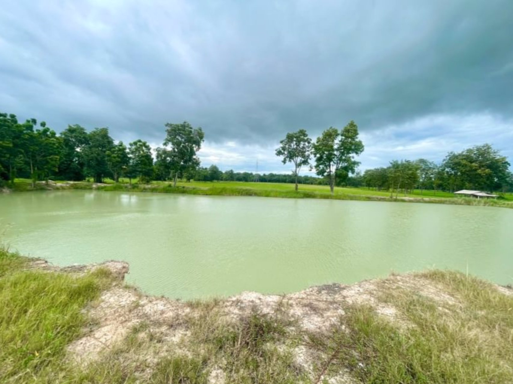 ขายด่วน-ที่ดินเปล่า-ถูกกว่าราคาประเมิน-ที่ดินเปล่า-พร้อมสระน้ำ