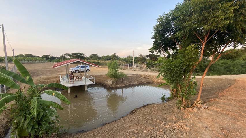 ขายสวนสวยพร้อมที่ดิน-ตบ้านยาง-อเมือง-จนครปฐม-ใกล้ทางขึ้นลงทางด่วน-บางใหญ่-เมืองกาญฯ