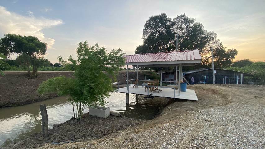 ขายสวนสวยพร้อมที่ดิน-ตบ้านยาง-อเมือง-จนครปฐม-ใกล้ทางขึ้นลงทางด่วน-บางใหญ่-เมืองกาญฯ